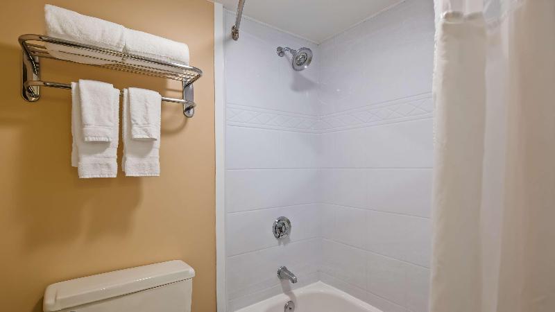 Suite Cama King, Holiday Inn Express Hotel & Suites Terre Haute, An Ihg