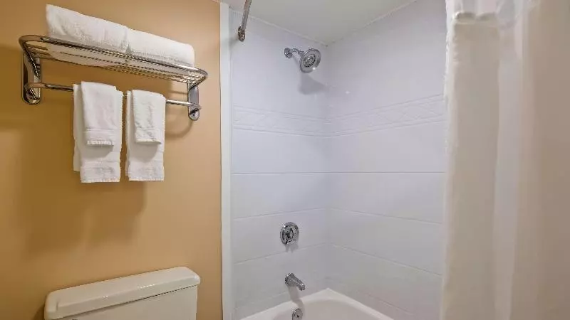 キングサイズベッドのスイートルーム, Holiday Inn Express Hotel & Suites Terre Haute, An Ihg