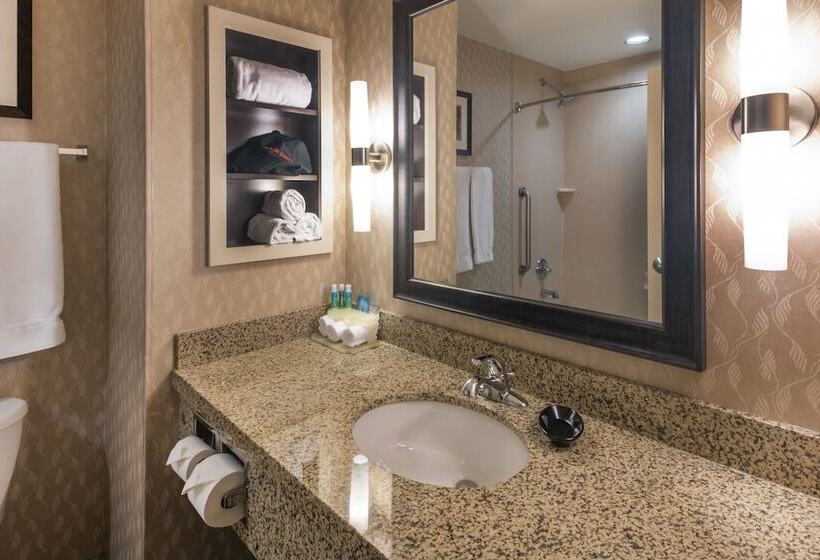 غرفة قياسية, Holiday Inn Express Hays, An Ihg