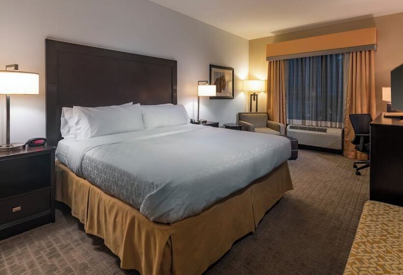 غرفة قياسية, Holiday Inn Express Hays, An Ihg