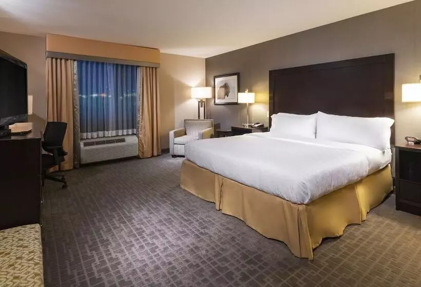 スタンダードルーム, Holiday Inn Express Hays, An Ihg