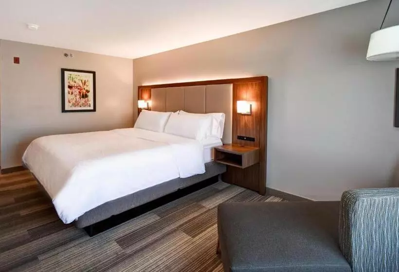 キングサイズベッドのスタンダードルーム, Holiday Inn Express & Suites Schererville, An Ihg