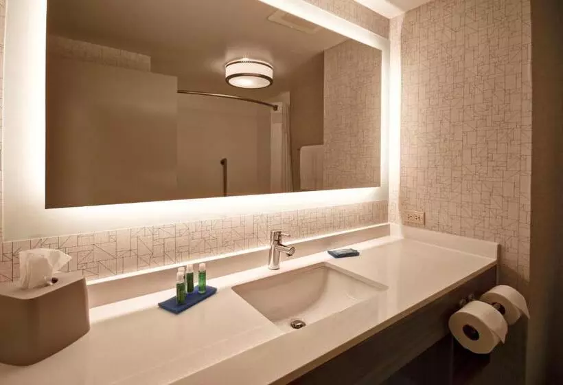 身障者適用キングサイズベッドルーム, Holiday Inn Express & Suites Schererville, An Ihg