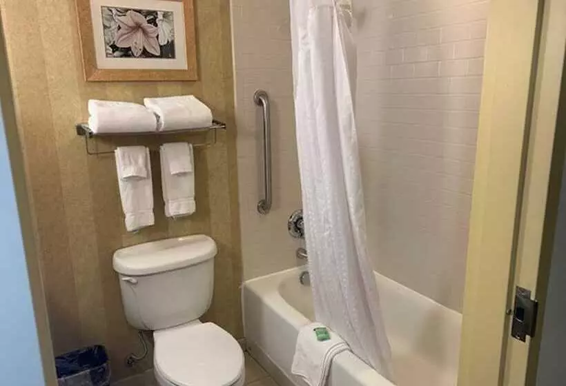 スタンダードルーム, Holiday Inn Saint Louis Fairview Heights, An Ihg