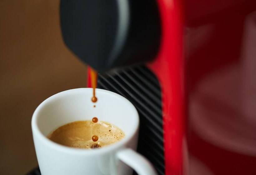 اتاق لوکس, Penzion Berg