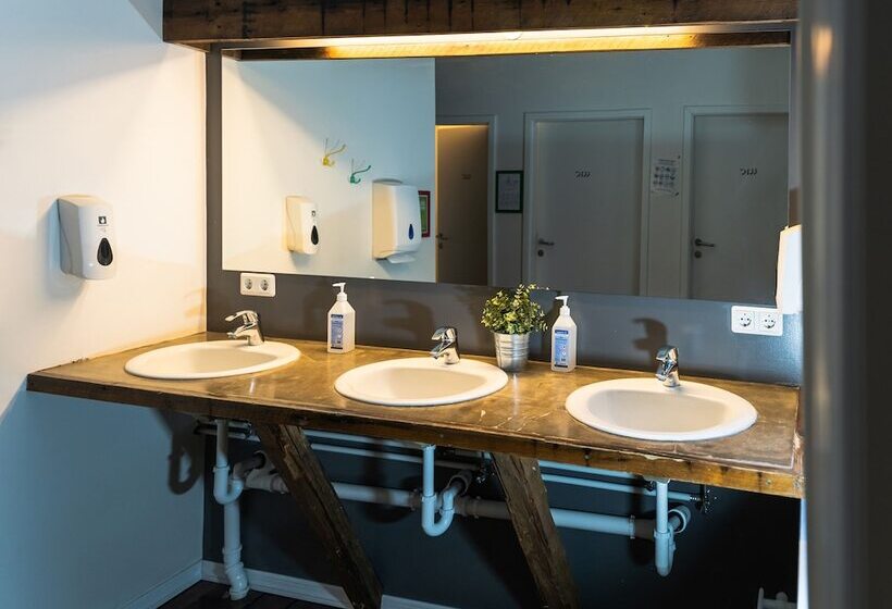 اتاق استاندارد با سرویس بهداشتی مشترک, Akureyri Backpackers