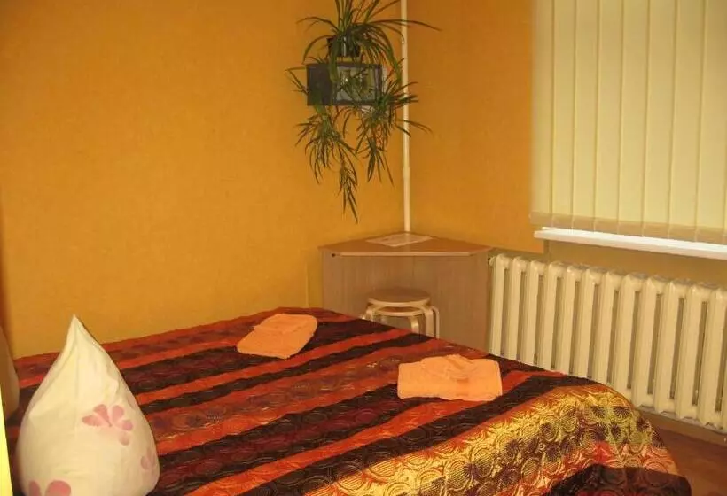 اتاق استاندارد با سرویس بهداشتی مشترک, Central Park Rooms