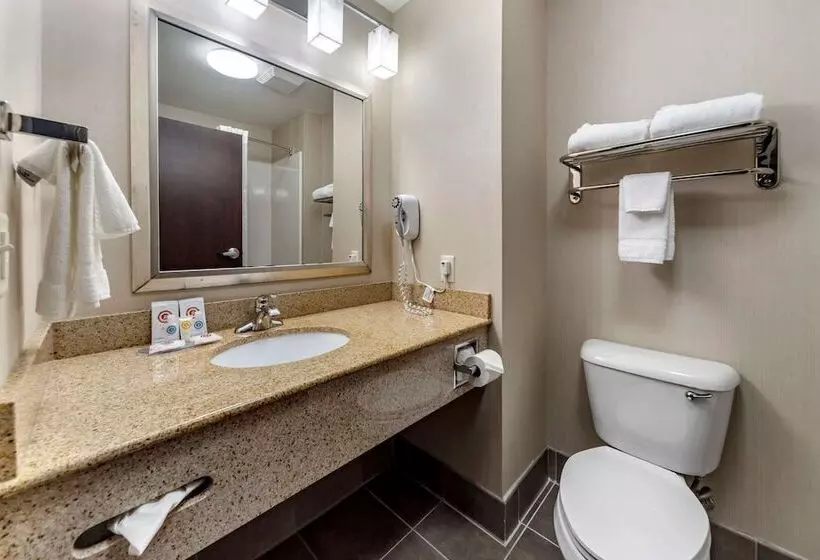 スイート, Comfort Inn & Suites Oklahoma City West  I40