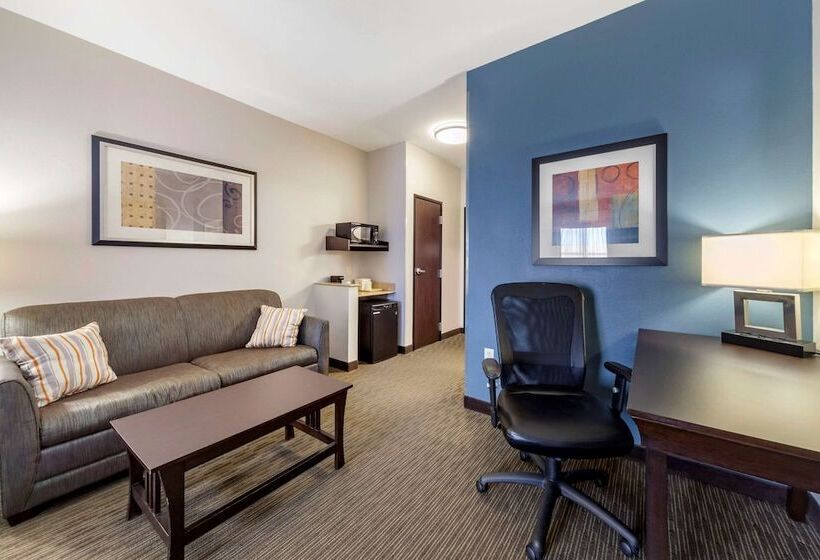 جناح, Comfort Inn & Suites Oklahoma City West  I40
