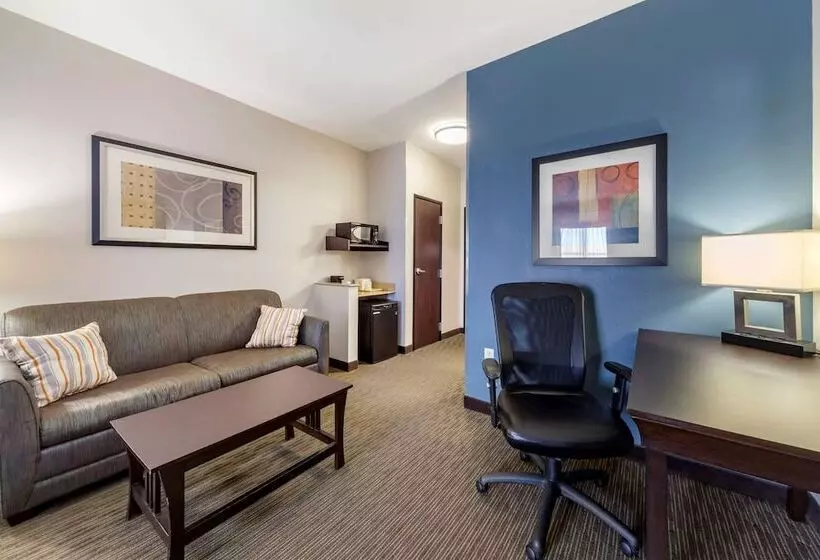 スイート, Comfort Inn & Suites Oklahoma City West  I40
