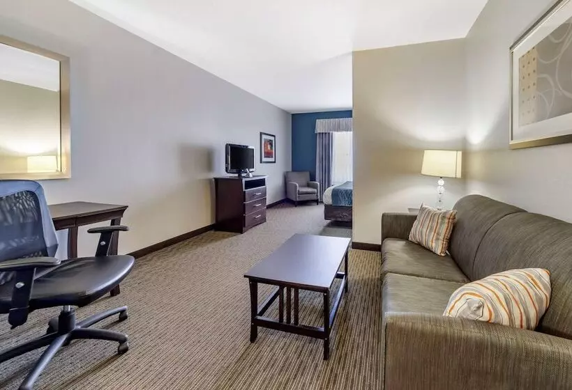スイート, Comfort Inn & Suites Oklahoma City West  I40