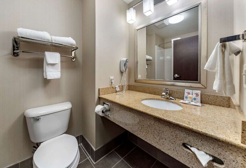 Люкс, Comfort Inn & Suites Oklahoma City West  I40
