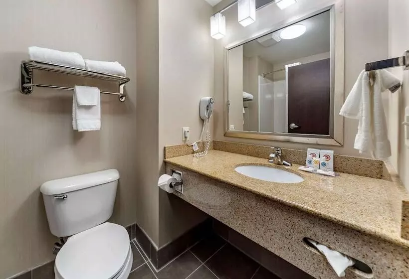 スイート, Comfort Inn & Suites Oklahoma City West  I40