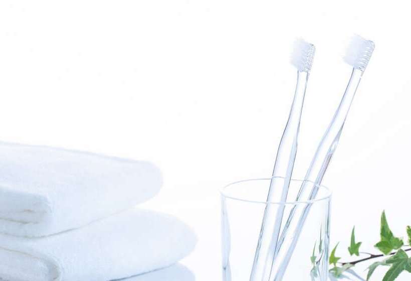 스탠다드 룸, Comfort Hotel Tomakomai