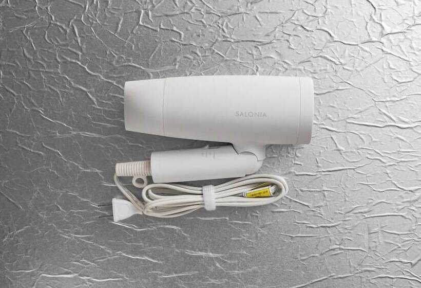 غرفة إقتصادية, Court Hotel Niigata