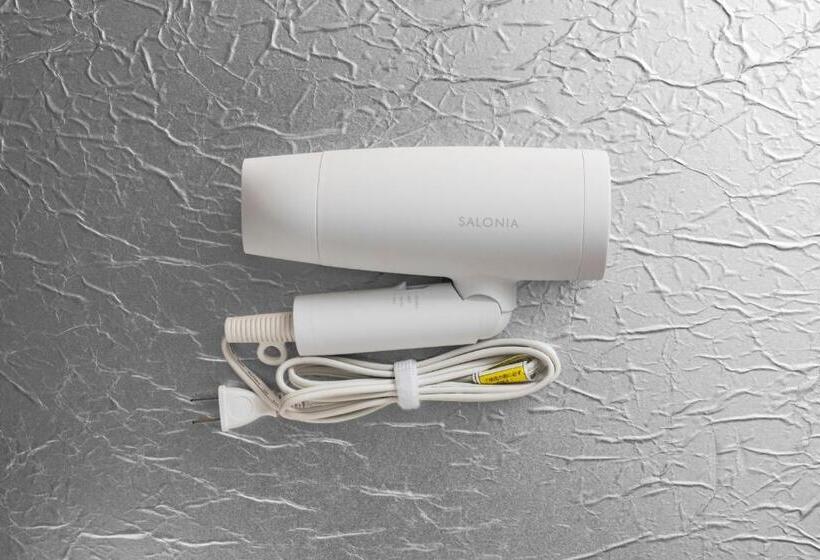 غرفة قياسية فردية, Court Hotel Niigata