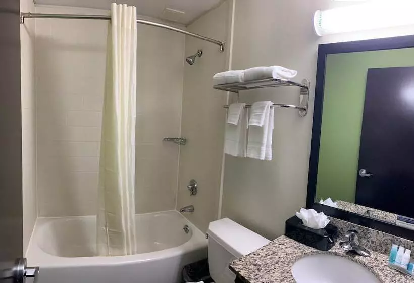 ２ダブルベッドのスタンダードルーム, Cresthaven Inn Jfk