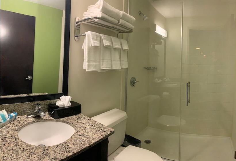 Номер Стандарт 2 Двуспальные Кровати, Cresthaven Inn Jfk