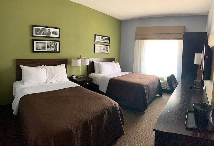 Номер Стандарт 2 Двуспальные Кровати, Cresthaven Inn Jfk