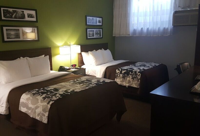 Номер Стандарт 2 Двуспальные Кровати, Cresthaven Inn Jfk