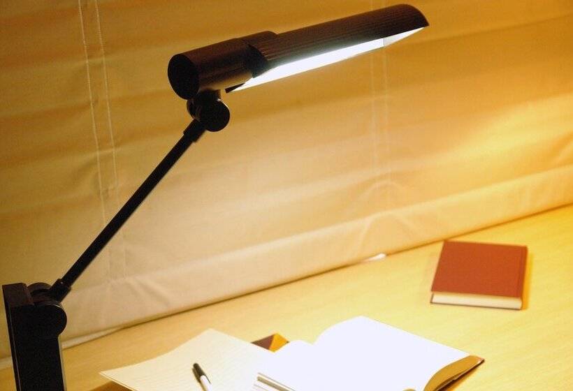 Camera Economy, Fukuracia Osaka Bay