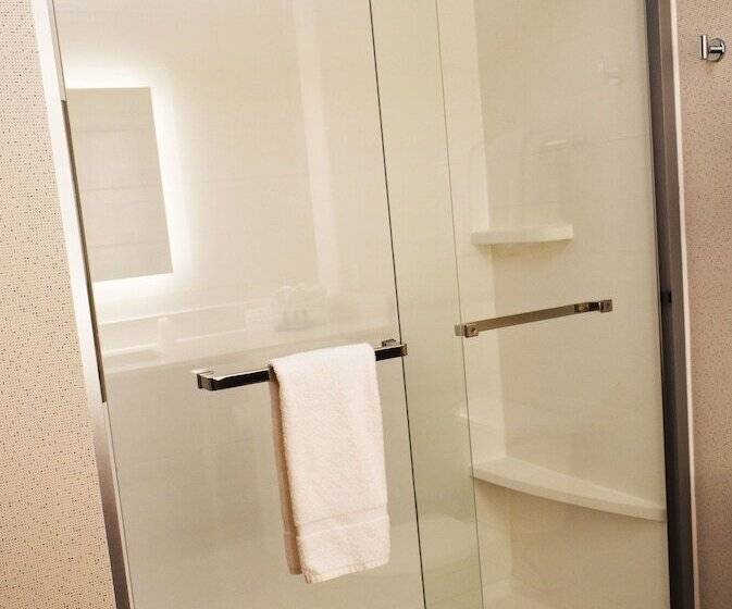 スイート, Holiday Inn Express Hotel & Suites Albany, An Ihg