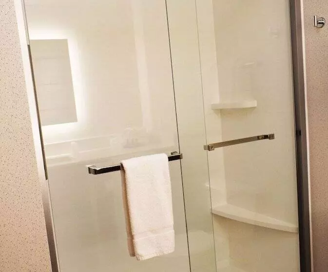 Sviitti King-vuode, Holiday Inn Express Hotel & Suites Albany, An Ihg