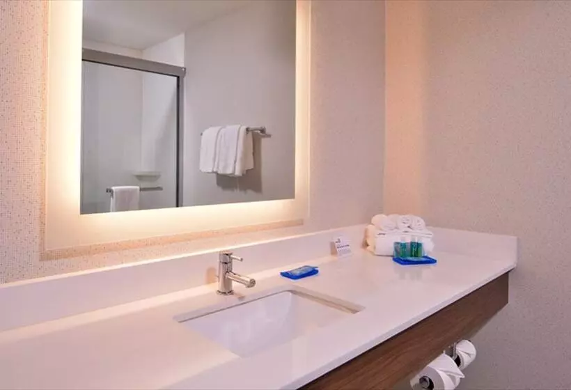 キングサイズベッドのスイートルーム, Holiday Inn Express Hotel & Suites Albany, An Ihg