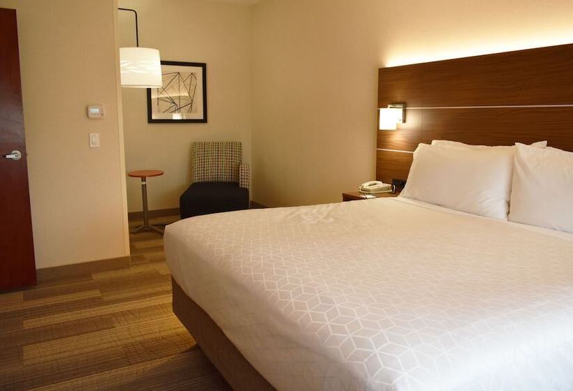 キングサイズベッドのスイートルーム, Holiday Inn Express Hotel & Suites Albany, An Ihg