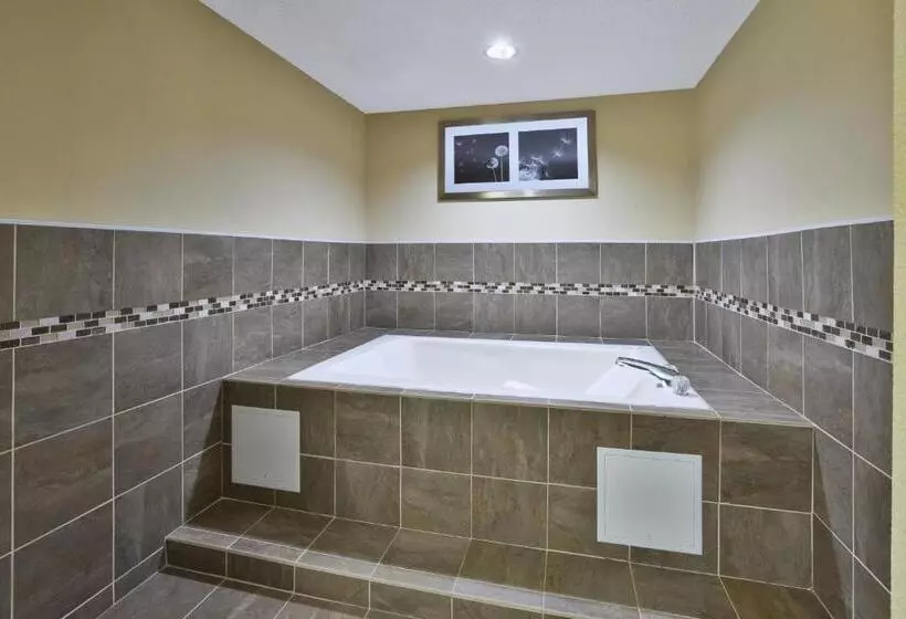 Sviitti King-vuode, Holiday Inn Express Hotel & Suites Circleville, An Ihg