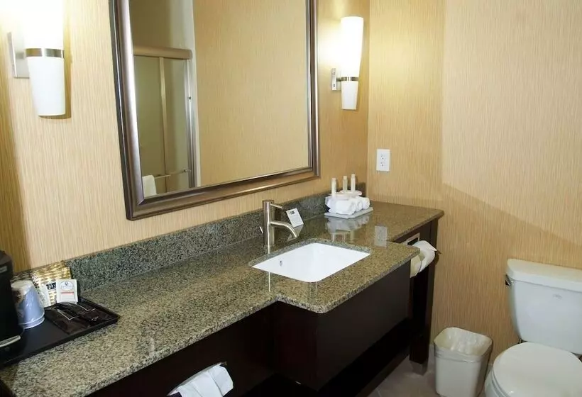 Standard-huone, Holiday Inn Express Hotel & Suites Clemson   University Area, An Ihg
