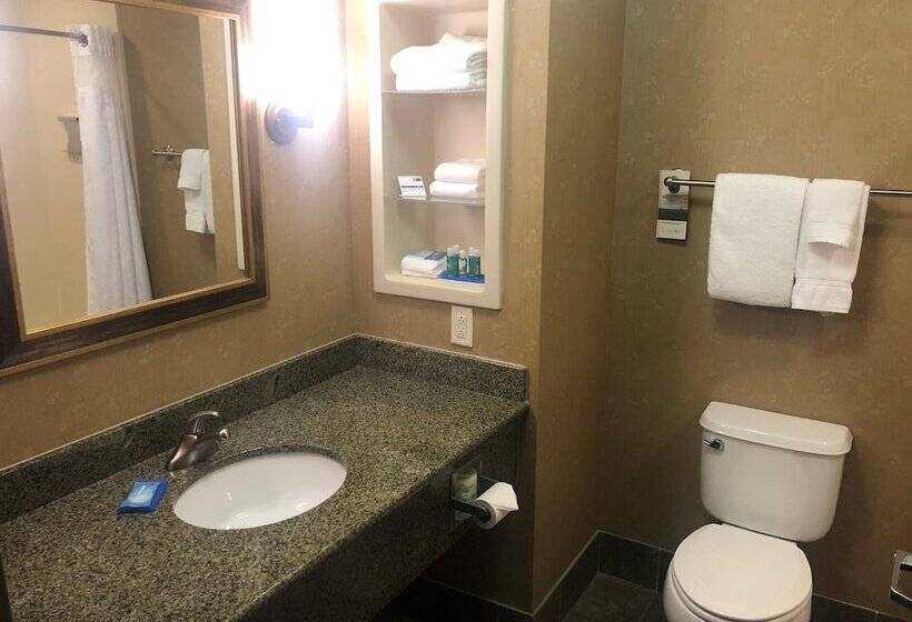 جناح, Holiday Inn Express Hotel & Suites Ooltewah Springs   Chattanooga, An Ihg