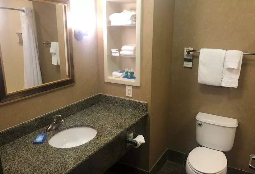 スイート, Holiday Inn Express Hotel & Suites Ooltewah Springs   Chattanooga, An Ihg