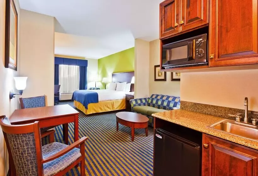 スイート, Holiday Inn Express Hotel & Suites Ooltewah Springs   Chattanooga, An Ihg