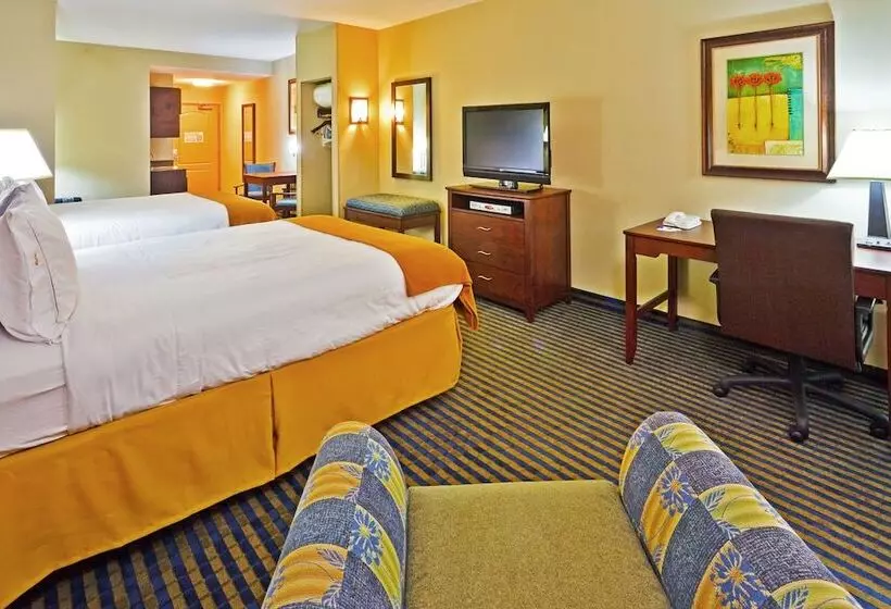 スイート, Holiday Inn Express Hotel & Suites Ooltewah Springs   Chattanooga, An Ihg