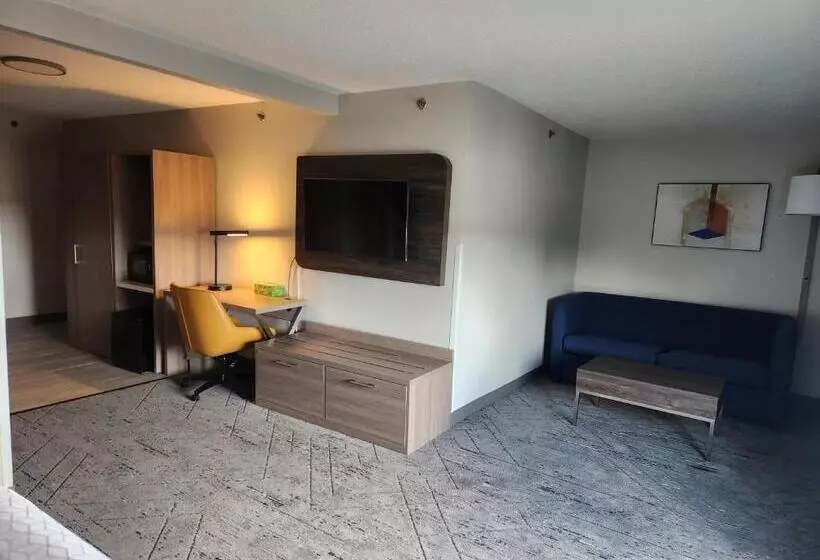 キングサイズベッドのスタンダードルーム, Holiday Inn Express & Suites Alliance, An Ihg