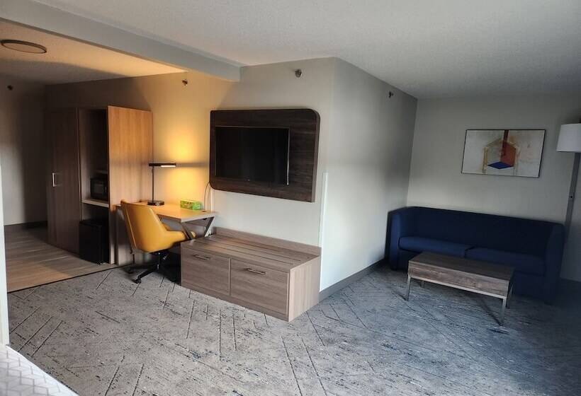 身障者適用スイートルーム, Holiday Inn Express & Suites Alliance, An Ihg