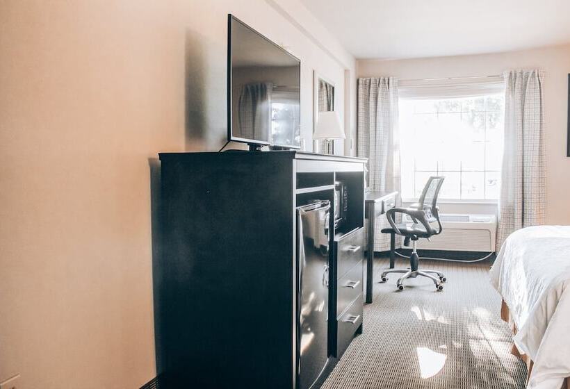 身障者適用スタンダードルーム, Lucille's Hotel