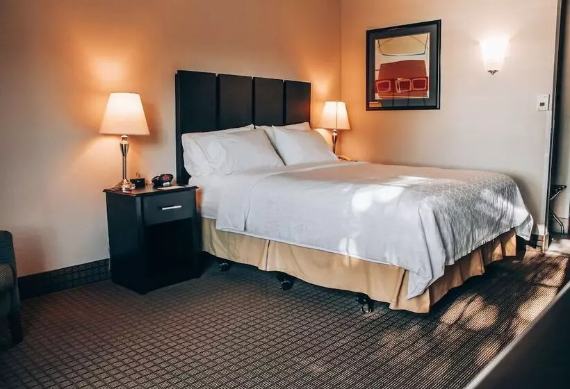 身障者適用スタンダードルーム, Lucille's Hotel