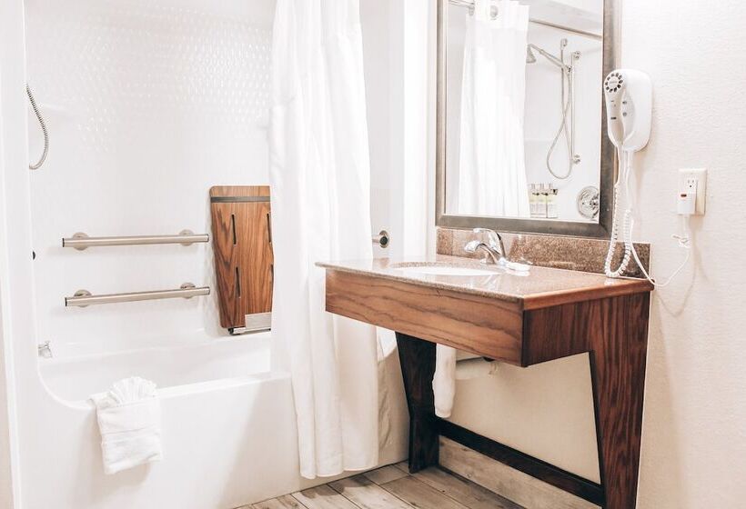 身障者適用スタンダードルーム, Lucille's Hotel