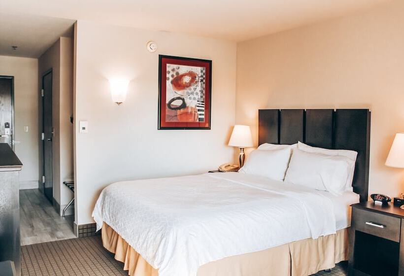 身障者適用スタンダードルーム, Lucille's Hotel