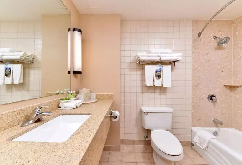 スイート, Holiday Inn Express Breezewood, An Ihg