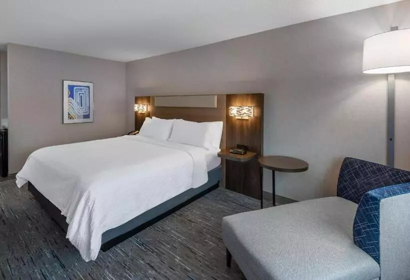 身障者適用キングサイズベッドルーム, Holiday Inn Express & Suites Wadsworth, An Ihg
