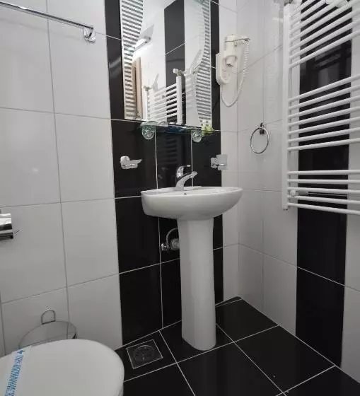 Standard Room with Balcony, Lebed