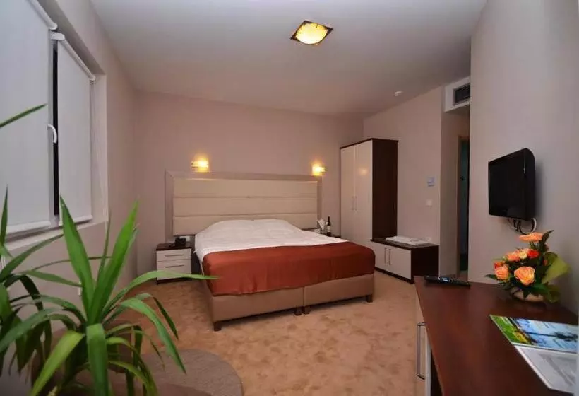 Standard Room with Balcony, Lebed