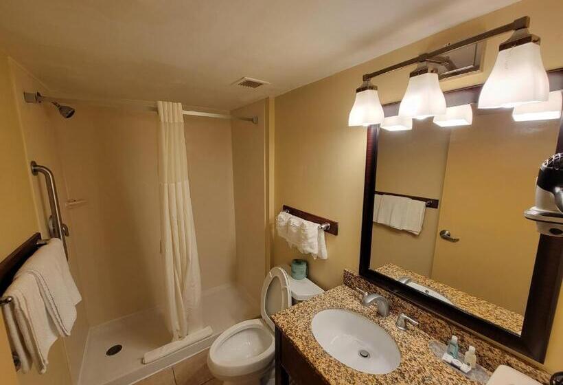 2ダブルベッドのスタンダードルーム, Quality Inn Flamingo