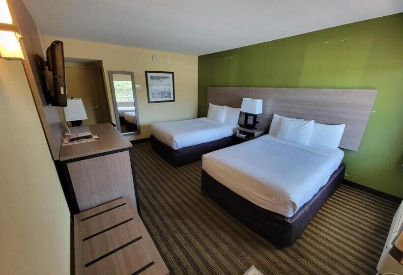 2ダブルベッドのスタンダードルーム, Quality Inn Flamingo