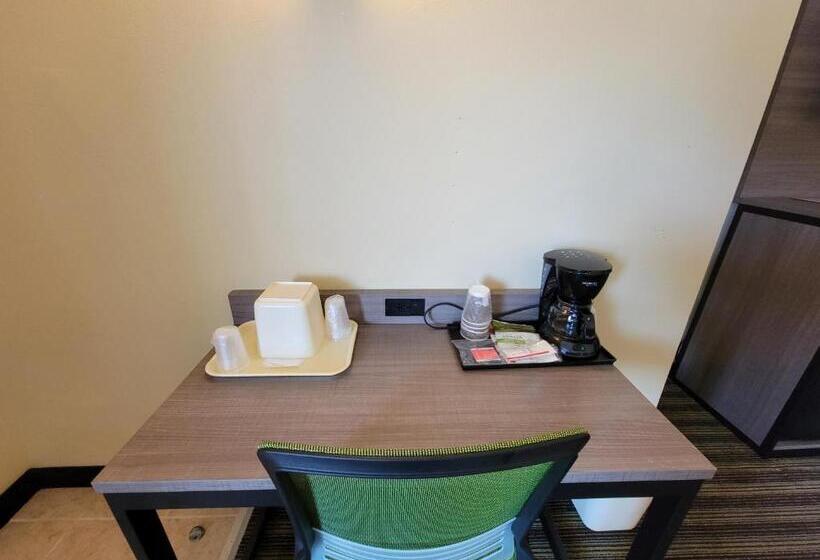 キングサイズベッドのスタンダードルーム, Quality Inn Flamingo