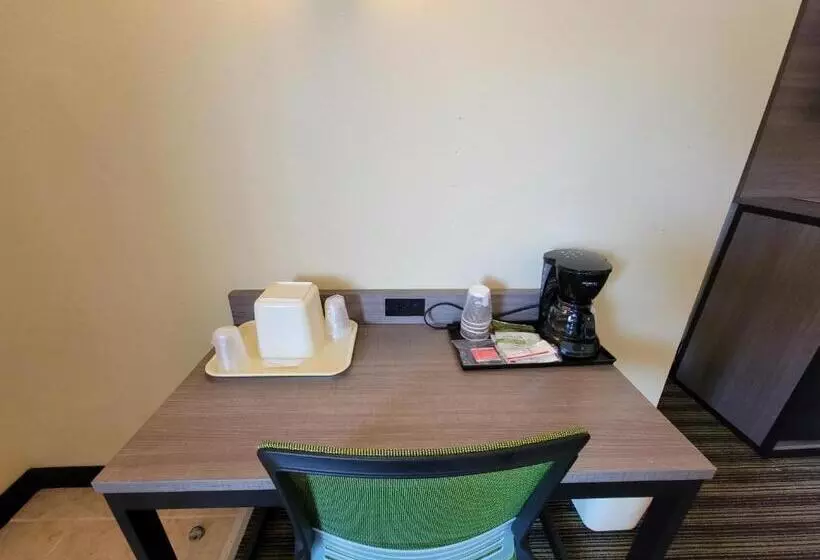 キングサイズベッドのスタンダードルーム, Quality Inn Flamingo