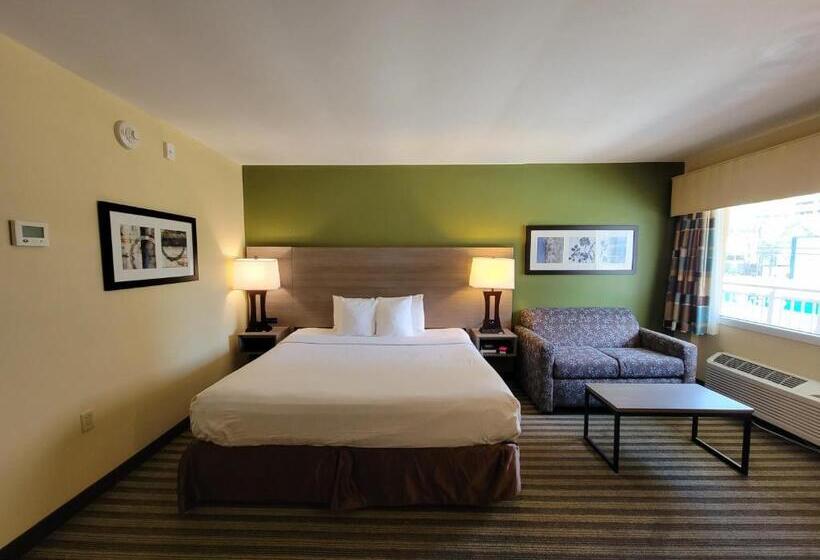 스탠다드 룸 킹사이즈 침대, Quality Inn Flamingo